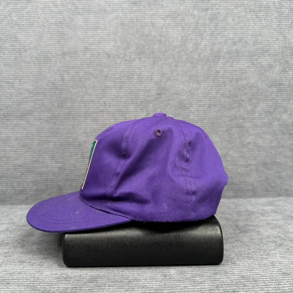 Vintage Arizona Diamondbacks Toddler Snapback Hat Purple MLB Twins Enterprise